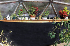 Cynthia Furst's 26' Growing Dome - Above Ground Pond Photo
