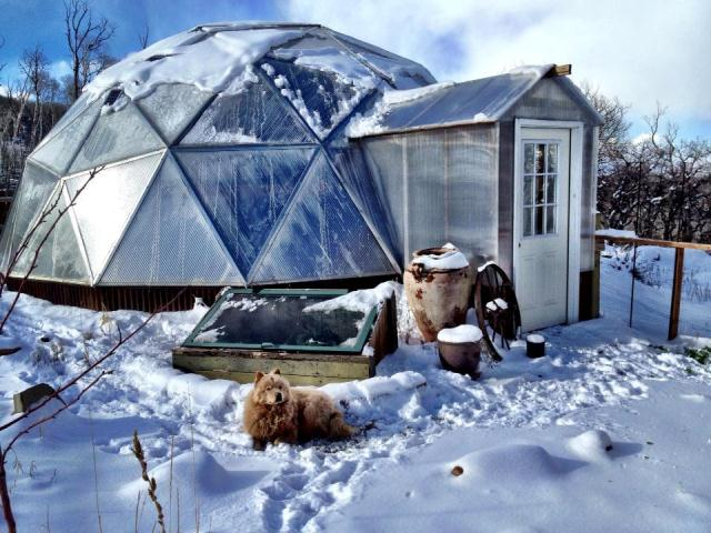 winter greenhouse with snow shed