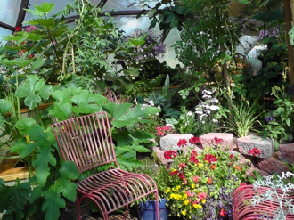 backyard greenhouse 26