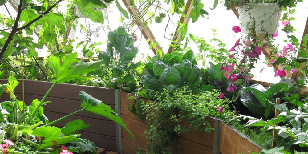 growing spaces garden greenhouse