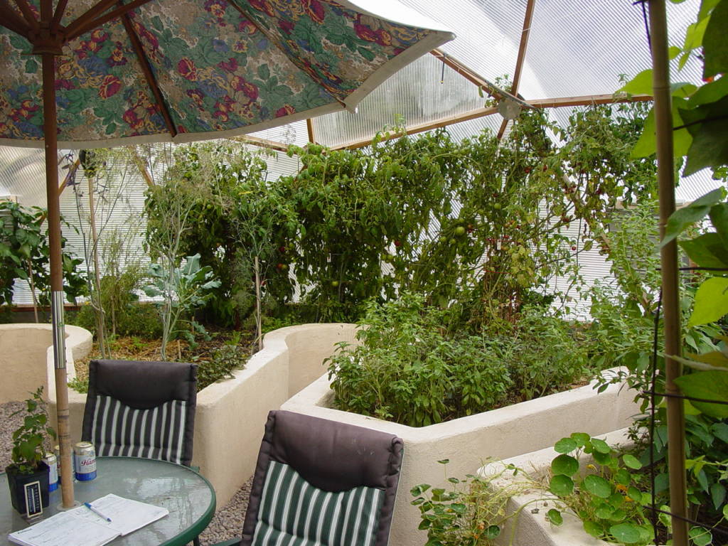 A lush greenhouse garden with mature plants and vegetables thriving within stucco raised beds, with a patio area featuring two chairs under an umbrella for relaxation.