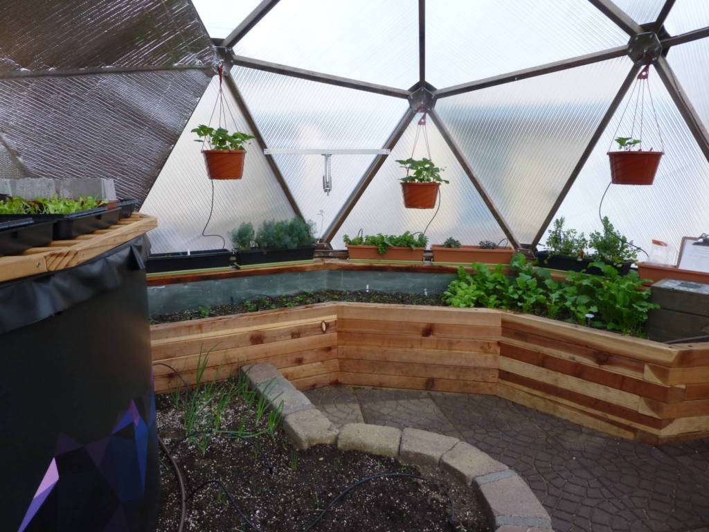 Interior of Growing Dome greenhouse with wooden and stone raised garden beds