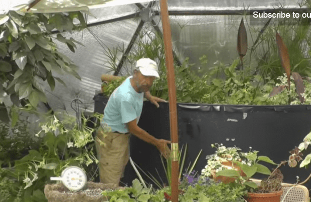 keep your greenhouse cool