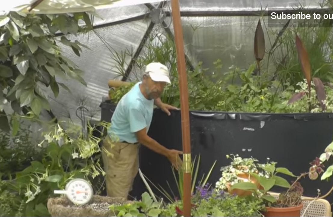 keep your greenhouse cool