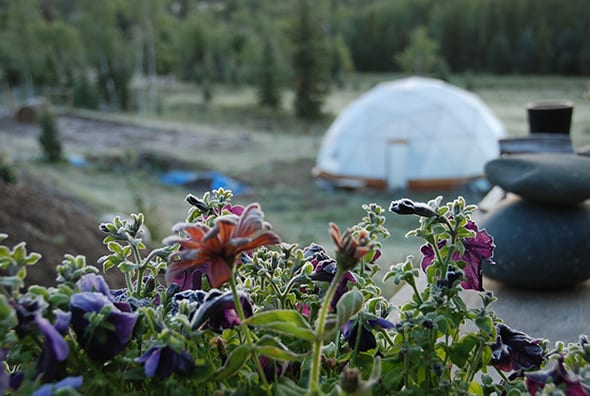 colorado greenhouse