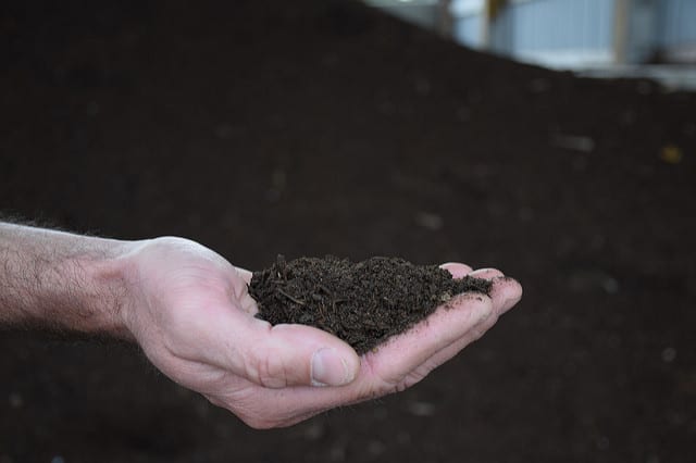 What To Know About Soil Amendments