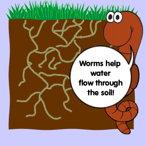 worms in soil