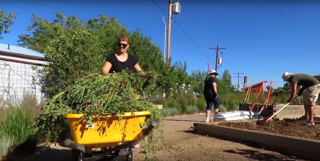 Volunteers clearing outdoor garden beds
