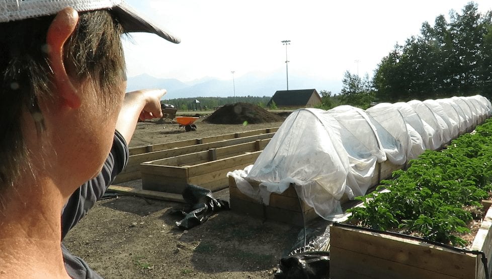 Cloud City Farm's outdoor raised bed garden