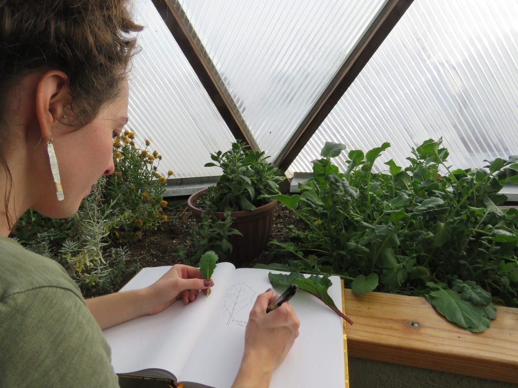 drawing plants in a journal