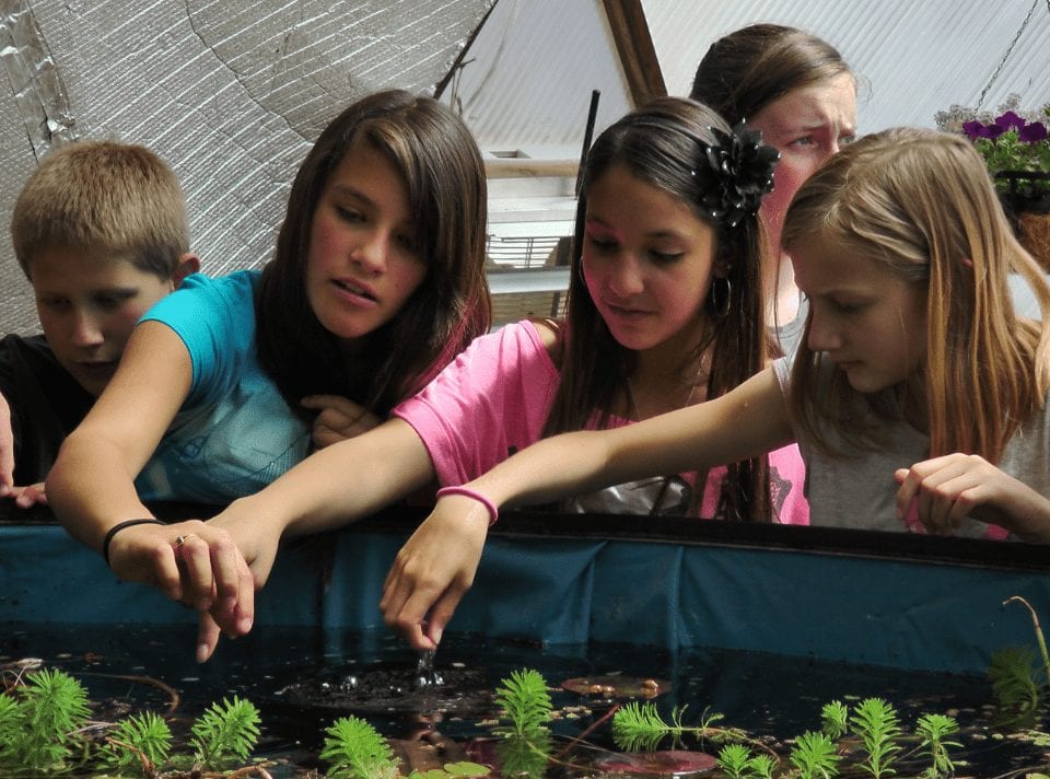 School Kids learning in a Growing Dome Greenhouse above-ground pond