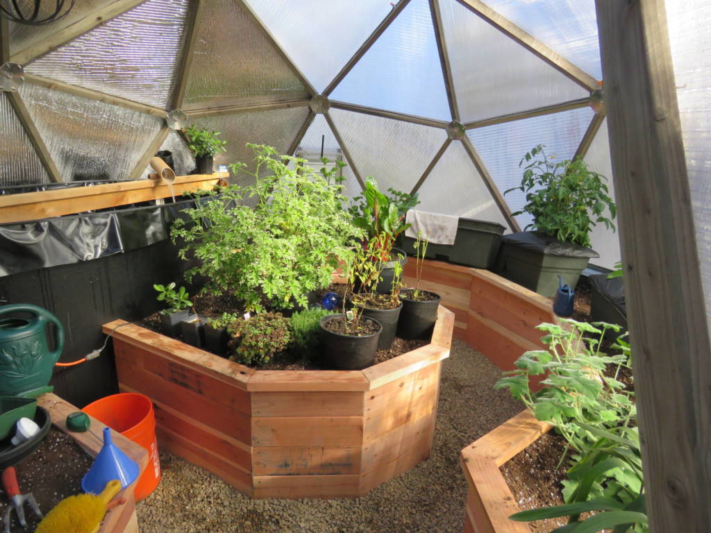 Inside a geodesic greenhouse, a corner filled with vibrant potted plants on top of and around curved wooden raised beds with a gravel walkway leading through.