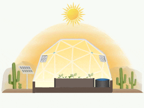 keep-your-plants-cool-with-the-desert-heat-package
