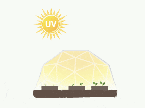 uv-protection-and-diffused-light-plants-love