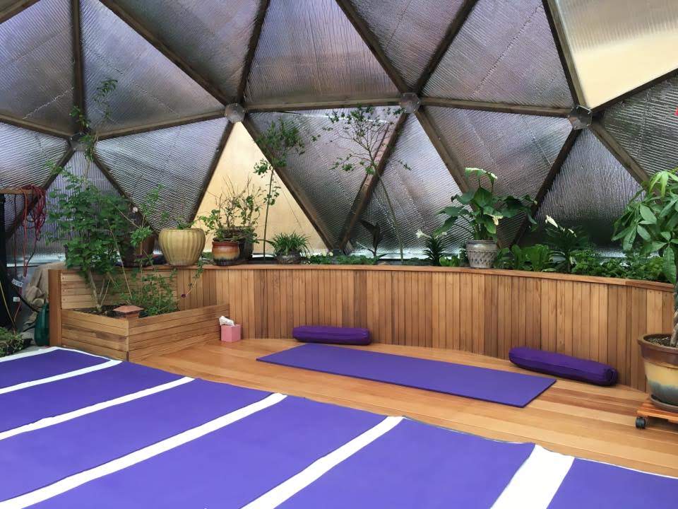 A serene yoga space with purple mats and cushions inside a geodesic dome greenhouse, surrounded by wooden raised planters with lush greenery, under a geometric translucent ceiling. a greenhouse fo ryoga