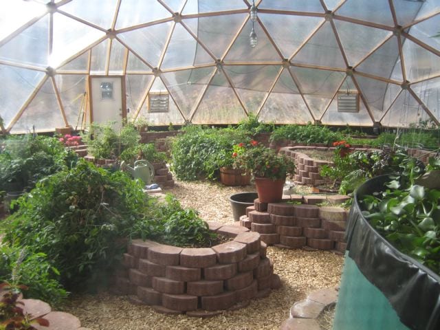 Inside a geodesic dome greenhouse, an array of Pavestone raised beds creates a charming pattern, brimming with a variety of lush plants and pots, infusing life and greenery into the space.