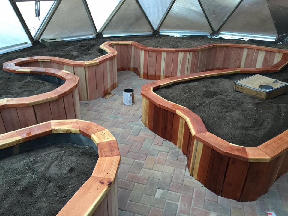 Elegantly constructed curved redwood raised beds with a rich cedar top cap, following a serpentine design on brick flooring, ready for planting, in a spacious greenhouse with a geodesic dome roof.