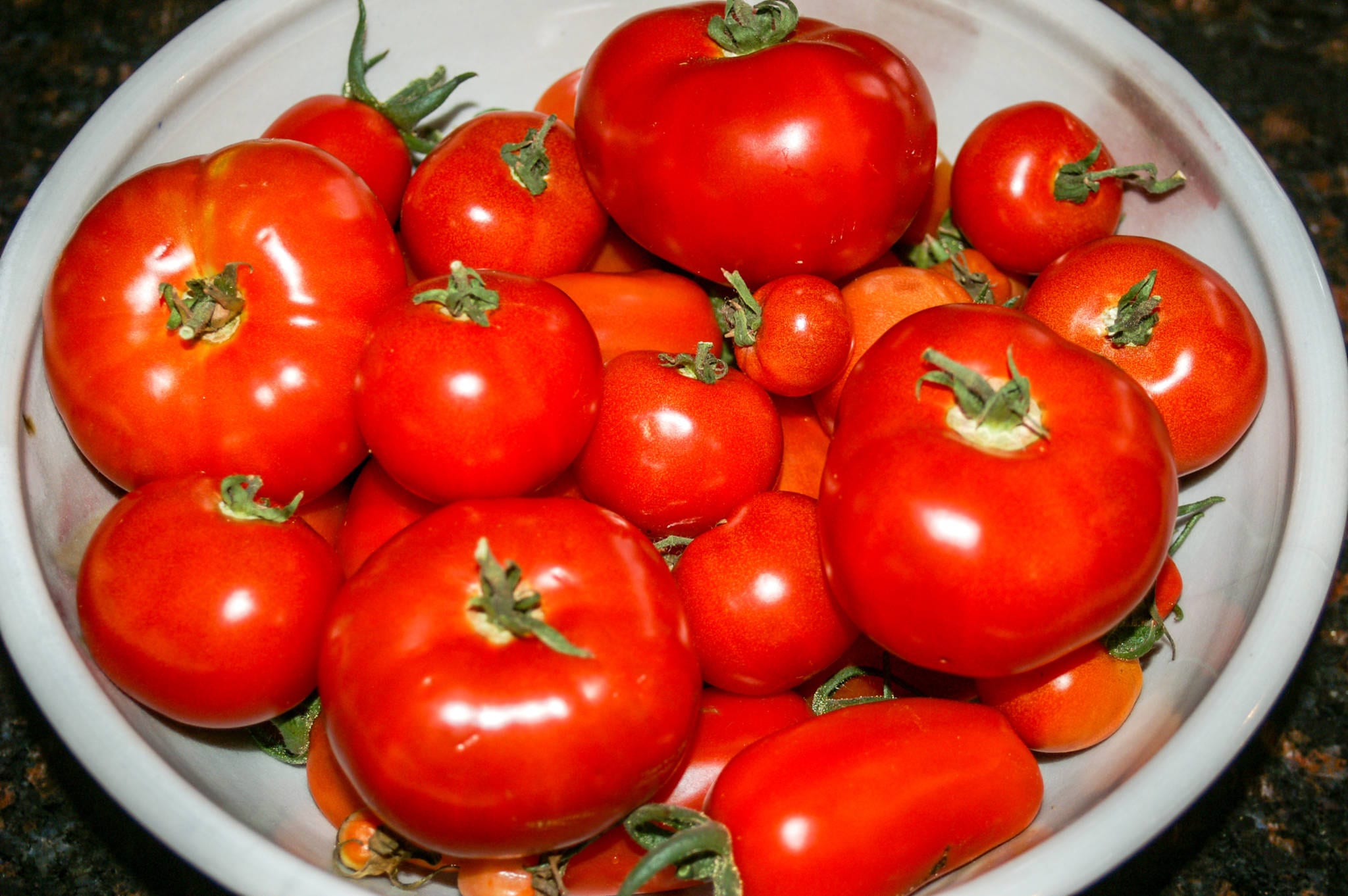 Get a Return on Investment from your greenhouse with these huge tomatoes