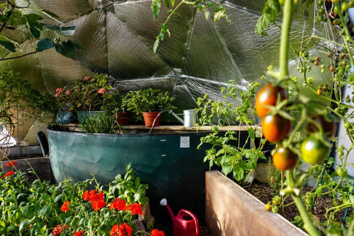 cooling pond and spitter in a geodesic greenhouse