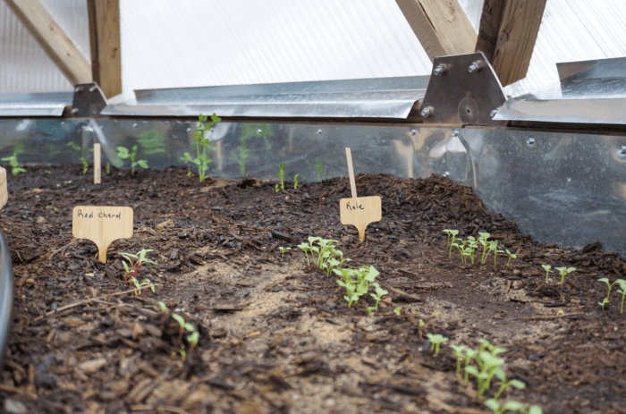 Direct Seeding - Signs