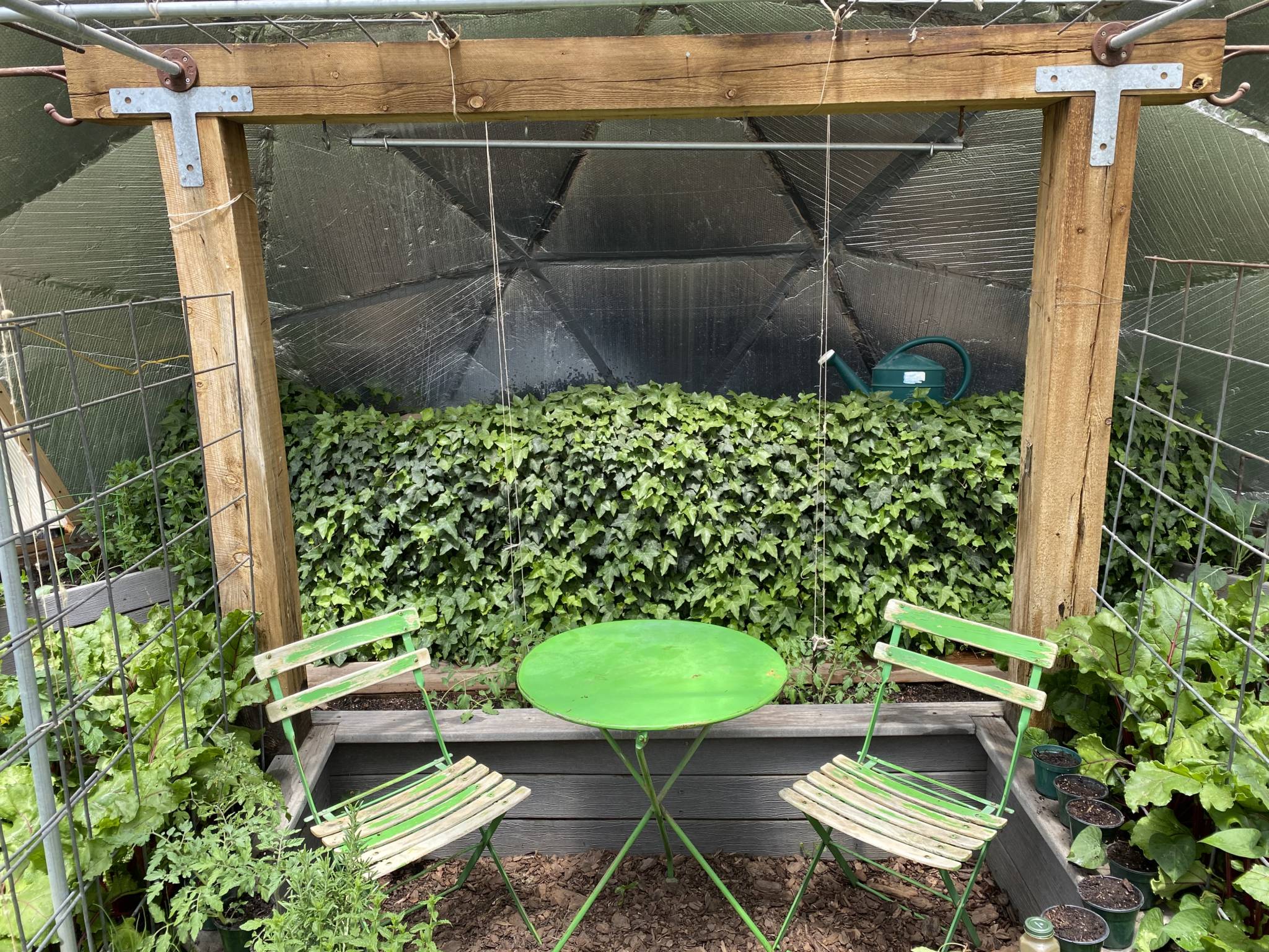 greenhouse pond covered in ivy with a green table and chairs in front