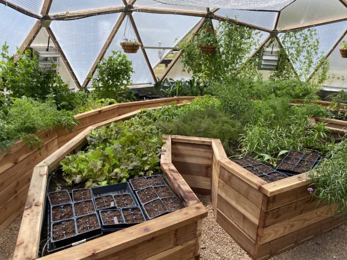 Image of raised garden bed kit with a greenhouse top