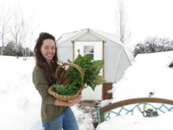 gardener holding a basket of fresh produce from a greenhouse during winter