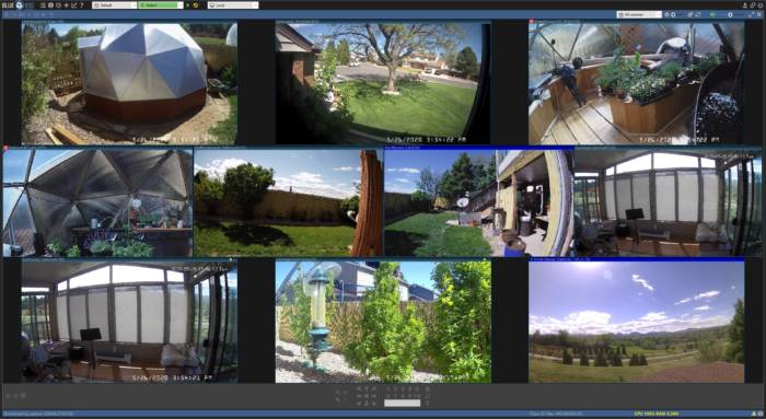 web cam screen shots of automated greenhouse