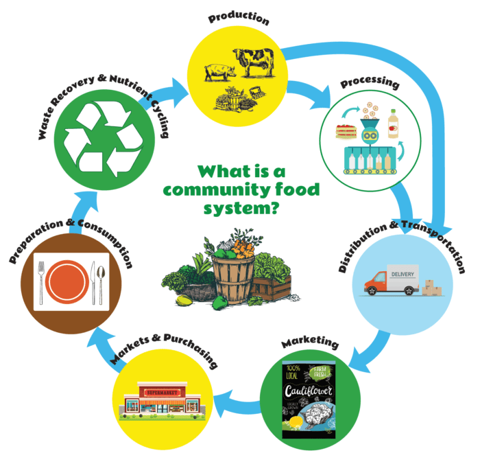 Community Food System graphic