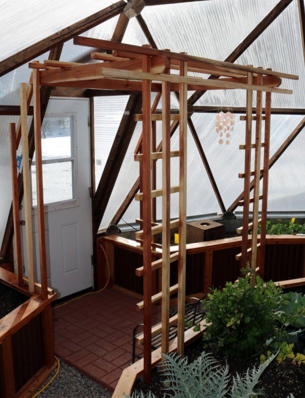 custom redwood trellis in a Growing Dome Greenhouse