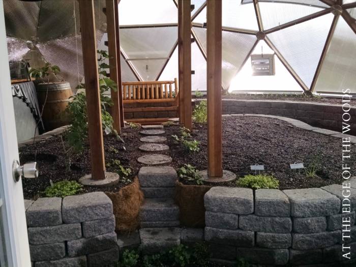 inside the off-grid homestead greenhouse