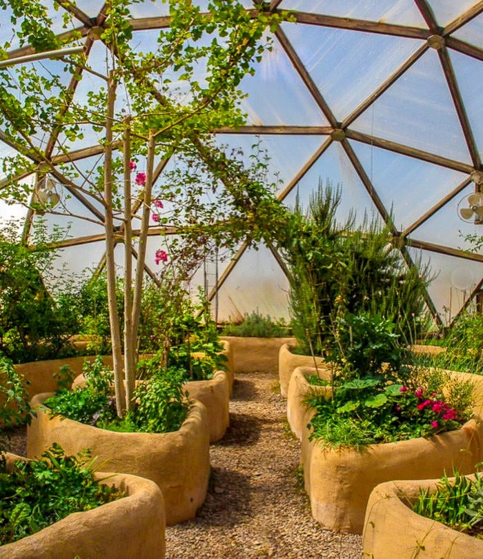 Joyful Journey Geodesic Greenhouse Inside