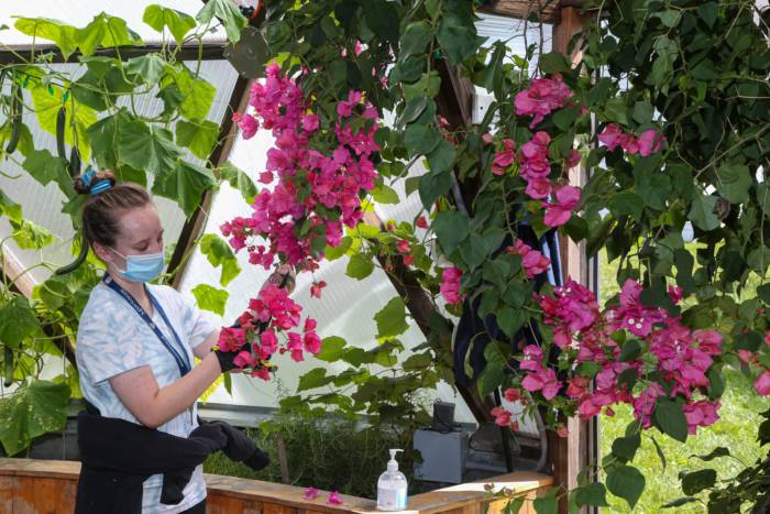 students farming inside school greenhouse