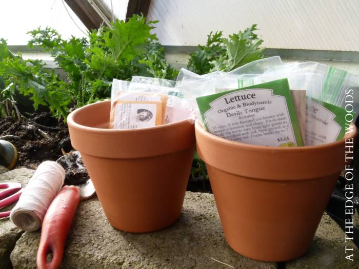 seedling pots with seeds inside