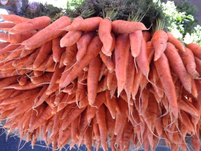 large bunch of carrots