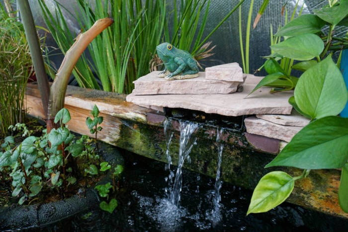 frog sculpture and water feature