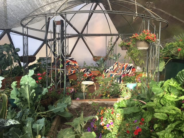 greenhouse sanctuary 