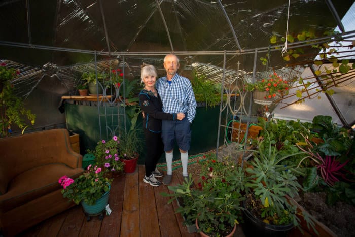 Elder women and man in their Greenhouse Sanctuary