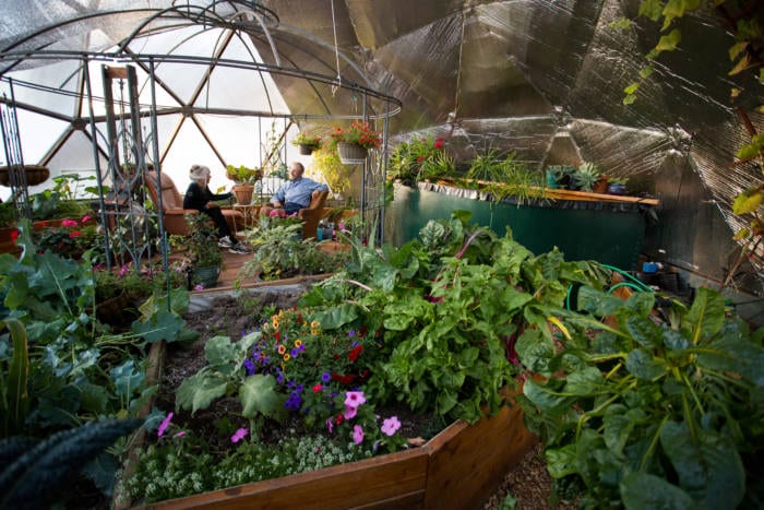 The Garden in U & Ps Greenhouse Sanctuary