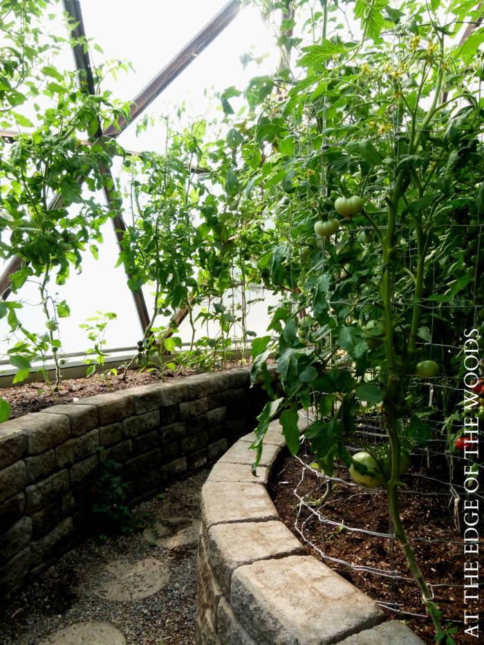 Stone garden beds and floor in a greenhouse for thermal mass