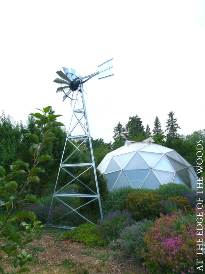 Growing Dome in an outdoor garden with windmill