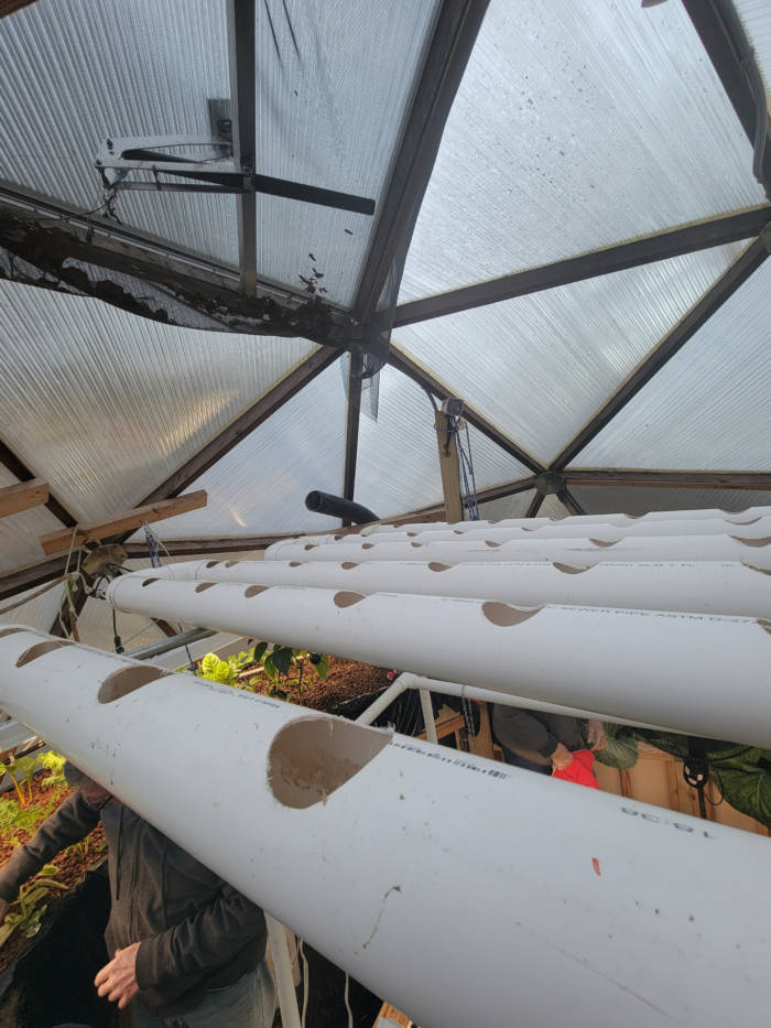 Hydroponics tubes for greenhouse