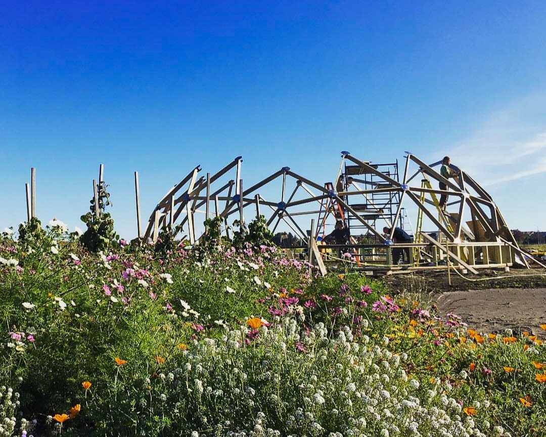 Wooden Greenhouse Kit being installed in a field of flowers in Colorado