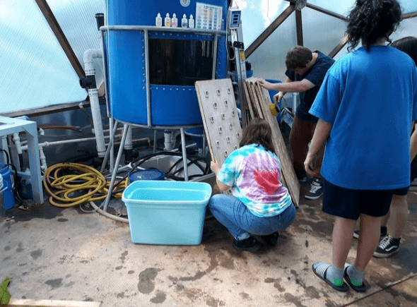 Students working on greenhouse aquaponics system