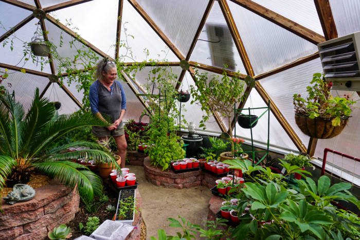 women standing inside a lush geodesic greenhouse