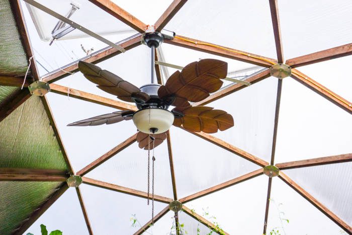 decorative and functional fan in a greenhouse