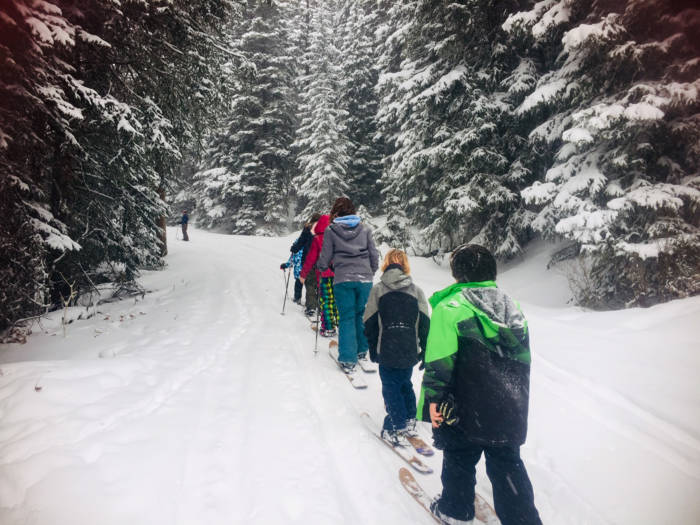 Students ski touring to get to the growing dome