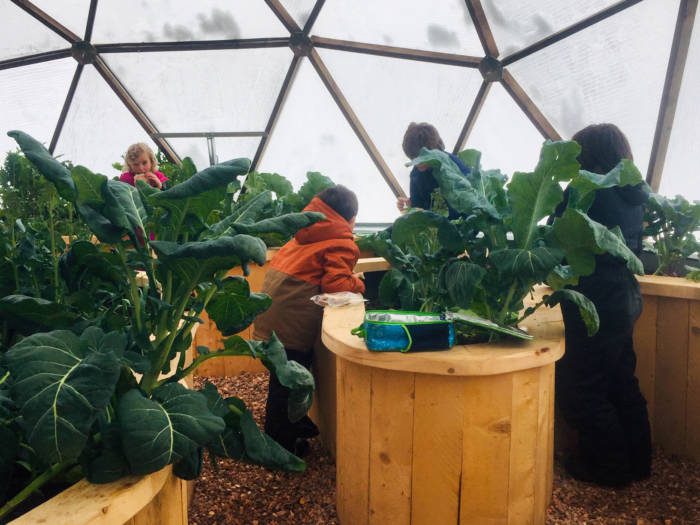 students gardening in the dome