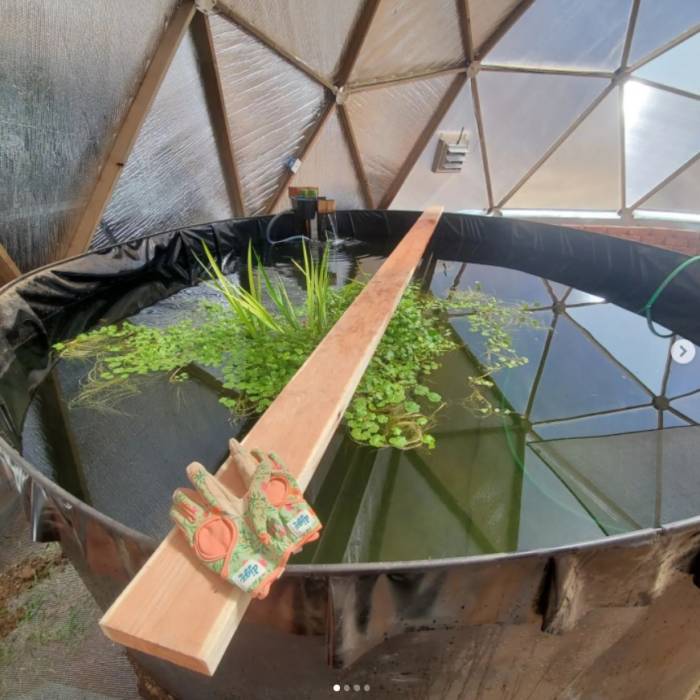 above ground pond in Growing Dome greenhouse