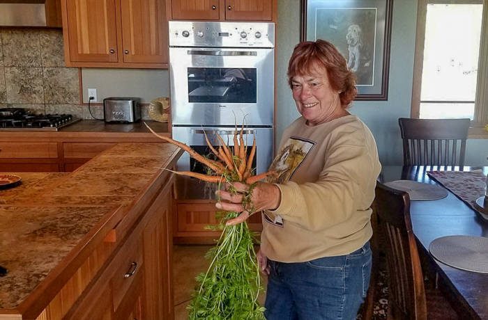 women holding up freshly harvested greenhouse carrots 